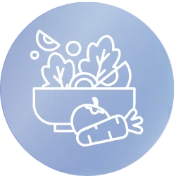 Healthy Food - Icon CerBariatrics
